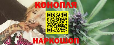 прущие грибы Ирбит