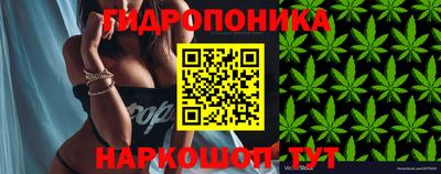 стаф Ипатово