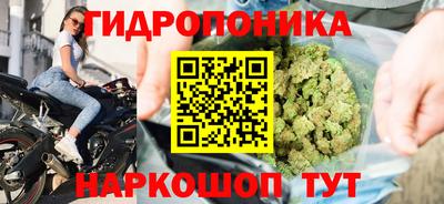 прущие грибы Ирбит