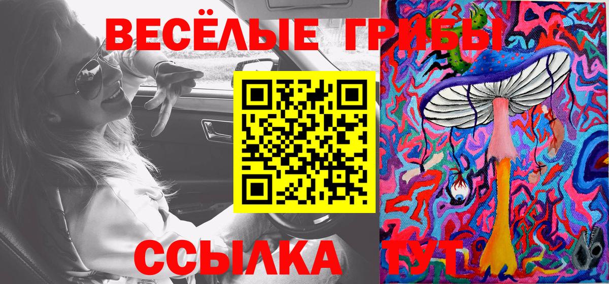 Калач-на-Дону  Псилоцибиновые грибы MAGIC MUSHROOMS  Вход с VPN 